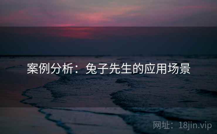 案例分析:兔子先生的应用场景