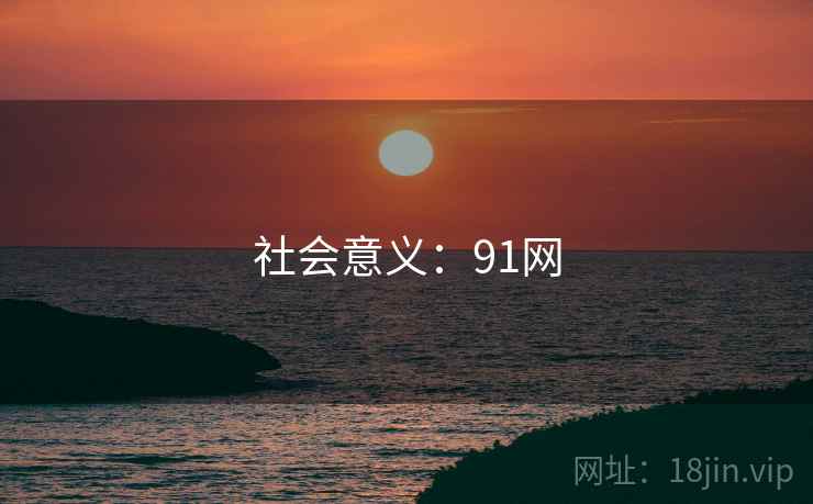 社会意义：91网