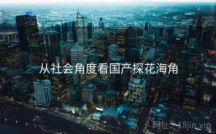 从社会角度看国产探花海角