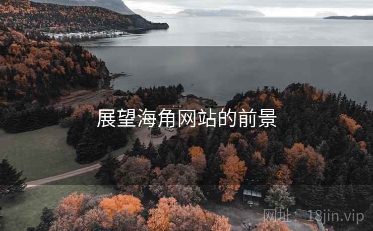 展望海角网站的前景