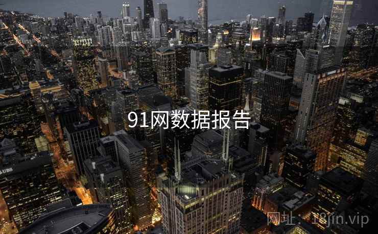 91网数据报告