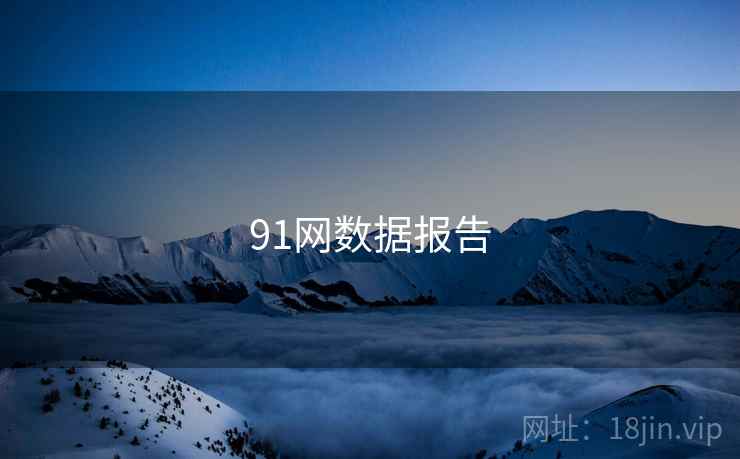91网数据报告